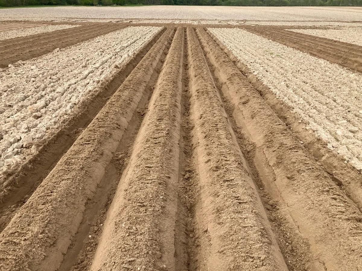 Diabolos formeurs ajourés pour une surface friable des buttes